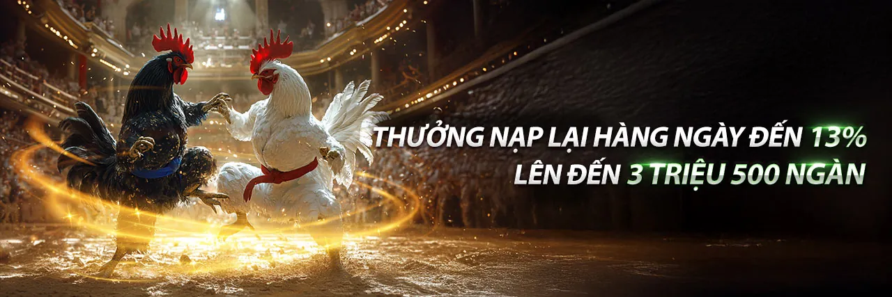 Sân vận động thể thao sôi động tại mi88 Casino
